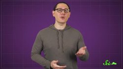 How Earth Recycled a Mountain Range Instructional Video