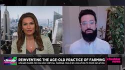 Upward Farms Aims to Reconnect Consumers with Locally-Grown Food News Clip