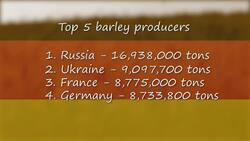 The Importance and Resurgence of Barley Instructional Video