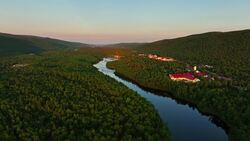 Taiga From Above: Drone Views of the World's Largest Biome Stock Footage