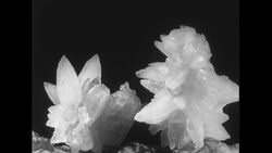 United States, c.1951: Different stalagmite formations featured during an exploration of the White Grotto in Italy Stock Footage