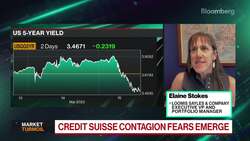 Fed Affecting More Than Housing: Loomis Sayles VP News Clip