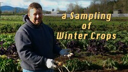 Winter Vegetable Farming - A Farmer's Insights Instructional Video