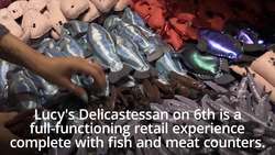 Artist creates entire New York deli out of felt News Clip