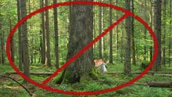 Fuchs, du hast die Gans gestohlen - Lied - Deutsch lernen Instructional Video