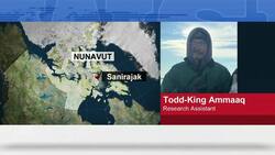 How would a walrus react to a ship? News Clip