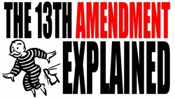 The 13th Amendment Explained: The Constitution for Dummies Instructional Video