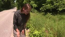 How this Caldwell First Nation student is helping to save turtles at Point Pelee News Clip