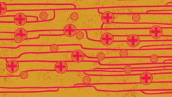 The woman who stared at the sun | Alex Gendler Instructional Video