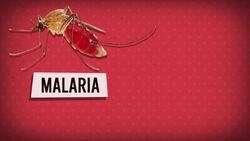 Building the Panama Canal Instructional Video