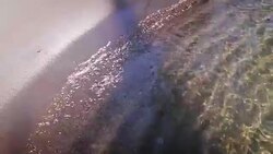 Beautiful tropical beach and sea background with copy space Stock Footage