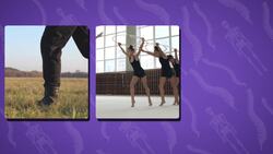 High Five Facts - Spine Instructional Video