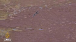 Sargassum crisis: Fishermen in Martinique develop solutions News Clip