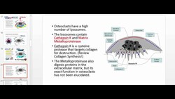 Osteoclasts Physiology and Wolff's Law Instructional Video