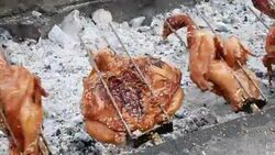 Grilled Chicken, Stock Footage