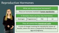 Understanding FSH and LH: Advanced Reproductive Hormones Instructional Video