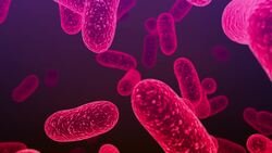 The Science of Cloning: From Fiction to Reality Instructional Video