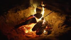 Roasting marshmallows over bonfire on the beach at night. Close-up Stock Footage