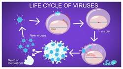 How to Reprogram a Brain Cell Instructional Video