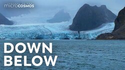 A Microscopic Tour Through A Norwegian Fjord Instructional Video