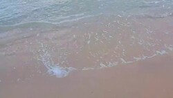 walking zoom panning smooth foam on water edge on sand beach background Stock Footage