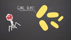Lytic cycle: the reason why bacteria hate viruses Instructional Video