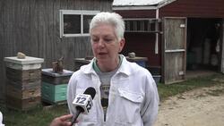 Commercial beekeeping industry experiencing historic loss in bee population nationwide this year News Clip