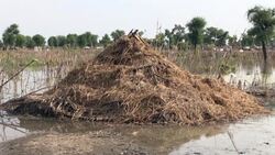 CLEAN : Refugees in South Sudan struggle to resettle after floods News Clip