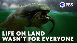 Our Ancient Relative That Said 'No Thanks' To Land Instructional Video