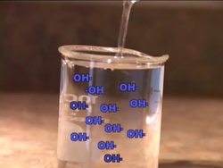 Introduction to Bases Instructional Video