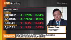 Pro-Beijing Bauhinia Party's Wong on H.K.'s Political Future News Clip