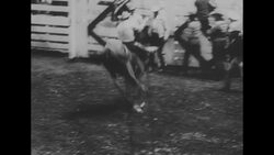 The 31st annual World Championship Rodeo is held at Madison Square Garden in New York City News Clip