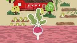 Discover Fruits & Veggies That Can Grow In YOUR Garden! | Early Education Songs For Kids | KLT Instructional Video