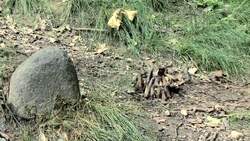 How to Make a Bonfire Instructional Video