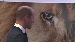 Prince William at United for Wildlife Summit News Clip