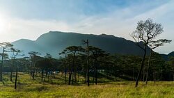 landscape silhouette at Phu Soi Dao national park Thailand Stock Footage