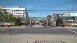 CLEAN : STOCKSHOTS: Pharmaceutical company Merck's campus in New Jersey News Clip
