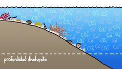 Cómo hacer una concha marina - ¡Sólo añade agua! Instructional Video