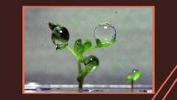 Snacktime with NASA: Space Salad Instructional Video