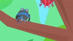 I WONDER - What Is A Poison Dart Frog? Instructional Video