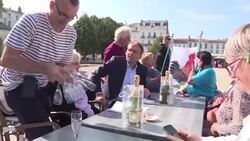 CLEAN : Reviled rooster wins court case against his noisy crowing News Clip