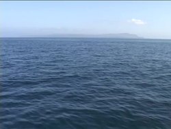 Introduction to Evolution Instructional Video