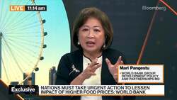 Commodity Prices to Remain High for Next Two Years: Pangestu News Clip