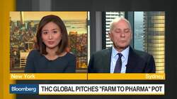 High-Level Medicinal Cannabis' Strong Growth Seen: THC Global News Clip