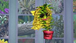 Life Science: Xylem and Phloem Song Instructional Video