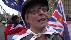 Angry scenes as rival Brexit groups protest Instructional Video