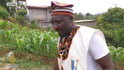 Cameroon fans use ancestral practices to help team win News Clip