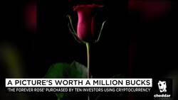This Is the World's Most Expensive Piece Of Crypto-Art News Clip