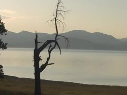 Plant Life Cycles: Video Review Instructional Video