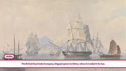 The History of Opioids Instructional Video